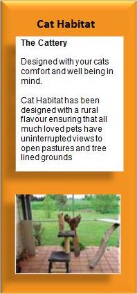 Cat Habitat-news box